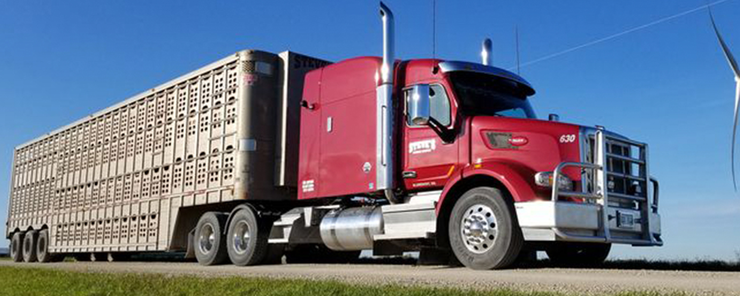 Livestock tractor trailer